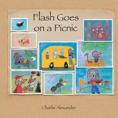 Cover for Charlie Alexander · Flash Goes on a Picnic (Paperback Book) (2017)