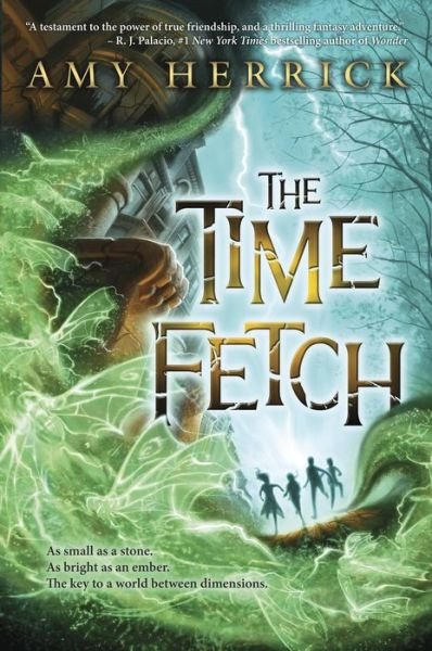 Cover for Amy Herrick · The Time Fetch (Paperback Book) (2014)