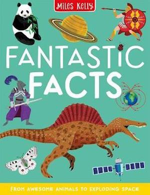 Cover for Belinda Gallagher · Fantastic Facts (Paperback Book) (2020)