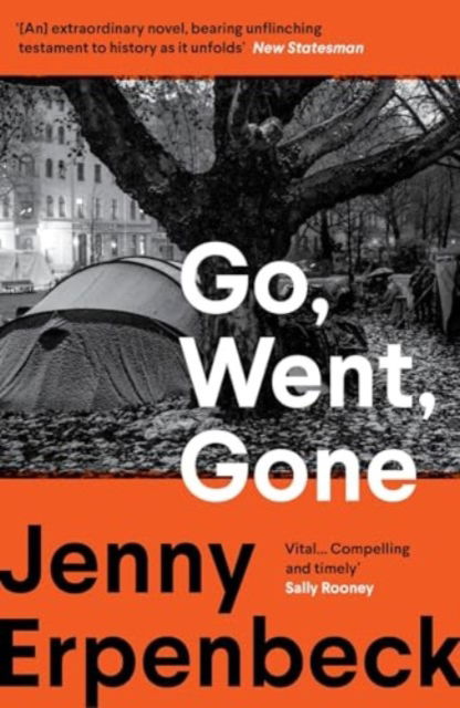 Cover for Erpenbeck, Jenny (Y) · Go, Went, Gone (Paperback Book) (2025)