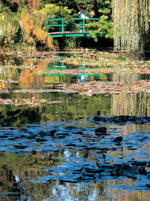 Cover for Caroline Holmes · Impressionists in Their Gardens (Hardcover Book) (2012)