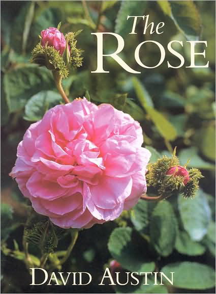 Cover for David Austin · The Rose (Hardcover Book) (2008)