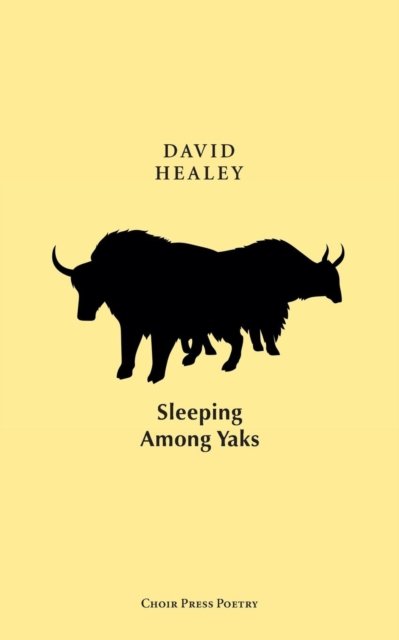 Cover for David Healey · Sleeping Among Yaks (Pocketbok) (2018)