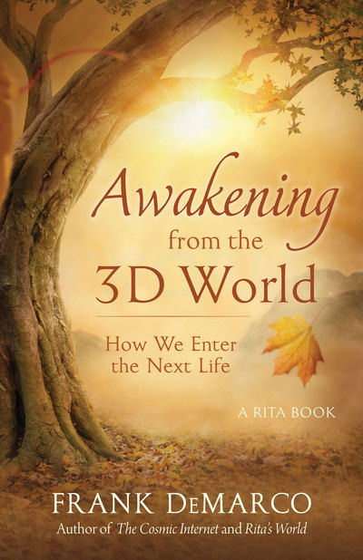 Cover for Frank Demarco · Awakening from the 3D World (Paperback Book) (2017)