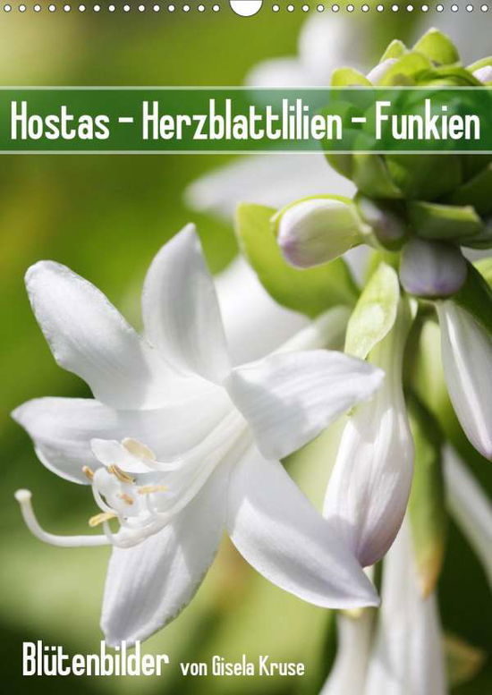 Cover for Kruse · Hostas Herzblattlilien Funkien (W (Book)