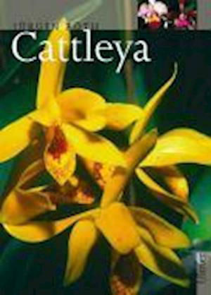 Cover for J. Röth · Cattleya (Book)