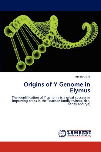 Cover for Pungu Okito · Origins of Y Genome in Elymus: the Identification of Y Genome is a Great Success in Improving Crops in the Poaceae Family (Wheat, Rice, Barley and Rye) (Paperback Book) (2012)