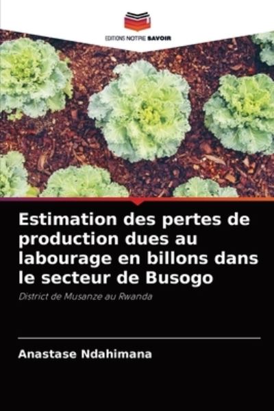 Cover for Anastase Ndahimana · Estimation des pertes de production dues au labourage en billons dans le secteur de Busogo (Paperback Book) (2021)