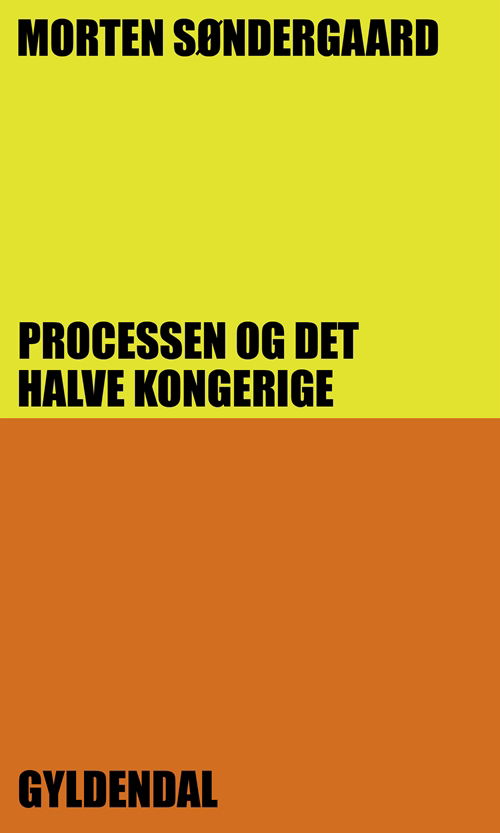 Cover for Morten Søndergaard · Processen og det halve kongerige (Sewn Spine Book) [1er édition] (2010)