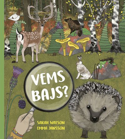 Cover for Sarah Watson · Vems bajs? (Hardcover Book) (2018)