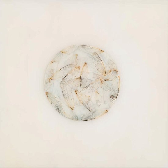 Cover for Lotte Kestner · Off White (CD) (2017)