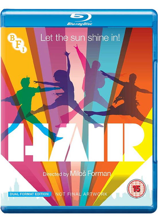 Cover for Hair 40th Anniversary Edition Dual Format · Hair (40th Anniversary Edition) (Blu-ray) (2019)