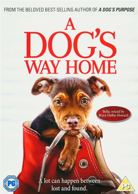 Cover for A Dog's Way Home · A Dogs Way Home (DVD) (2019)