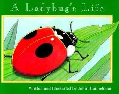 Cover for John Himmelman · A Ladybug's Life (Nature Upclose) - Nature Upclose (Paperback Book) (2001)