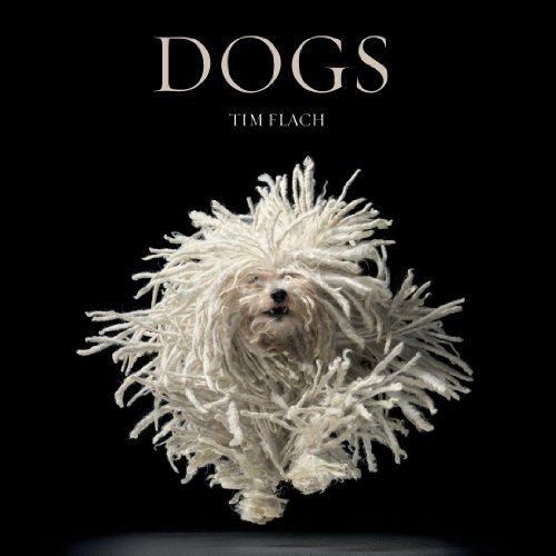 Cover for Lewis Blackwell · Dogs (Inbunden Bok) (2010)