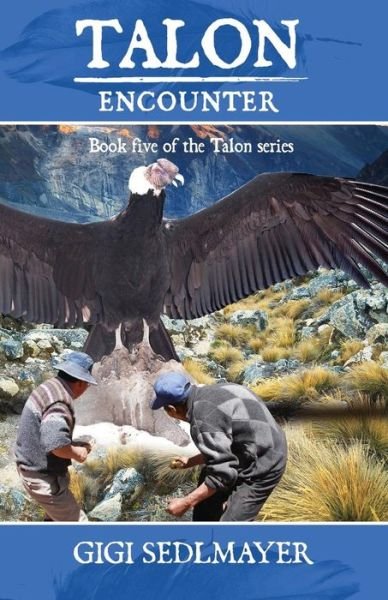 Cover for Gigi Sedlmayer · Talon, Encounter - Talon (Paperback Book) (2015)