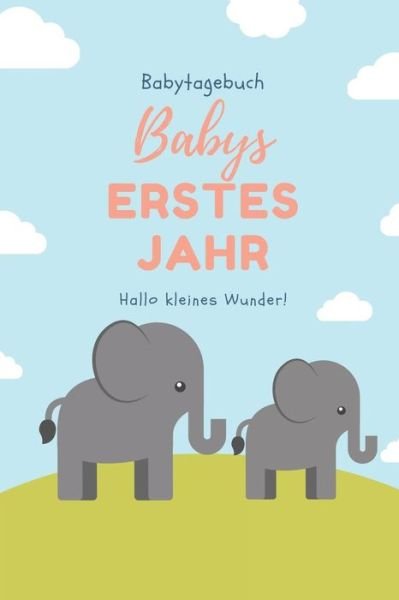 Cover for Baby Bucher Kalender · Babytagebuch Babys Erstes Jahr Hallo Kleines Wunder (Paperback Bog) (2019)