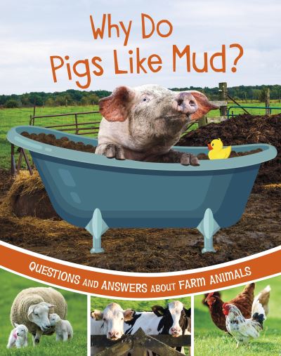 Cover for Katherine Rawson · Why Do Pigs Like Mud?: Questions and Answers About Farm Animals - Farm Explorer (Paperback Book) (2024)