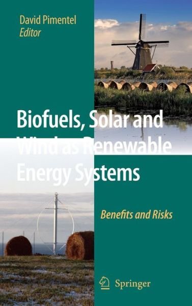 Biofuels, Solar and Wind as Renewable Energy Systems: Benefits and Risks - David Pimentel - Książki - Springer-Verlag New York Inc. - 9781402086533 - 4 sierpnia 2008
