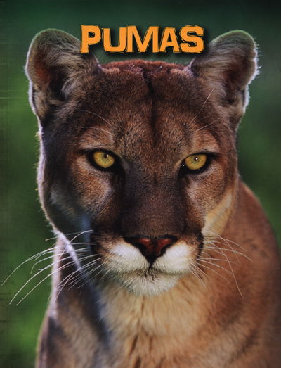 Pumas - Living in the Wild: Big Cats - Charlotte Guillain - Books - Pearson Education Limited - 9781406273533 - June 4, 2015