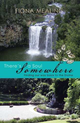 Cover for Fiona C. Mealing · There's a Soul Somewhere: Finding Our Way Back to the Divine (Pocketbok) (2011)