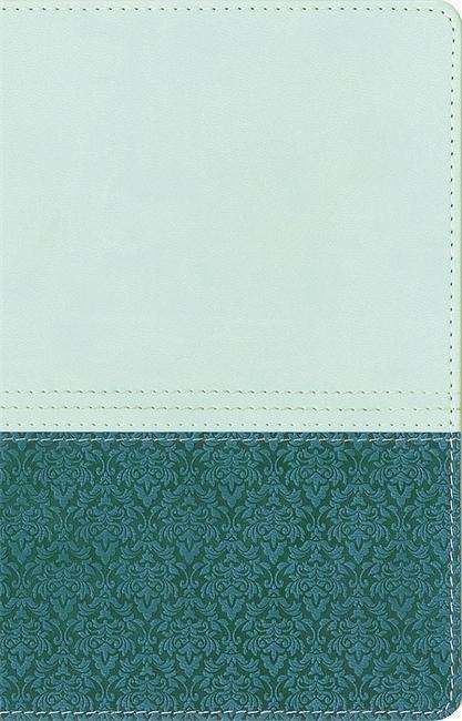 NIV Study Bible Sea Glass / Caribbean Duo-Tone Personal Size - New International Version - New International Version - Books - John Murray Press - 9781473615533 - October 1, 2015