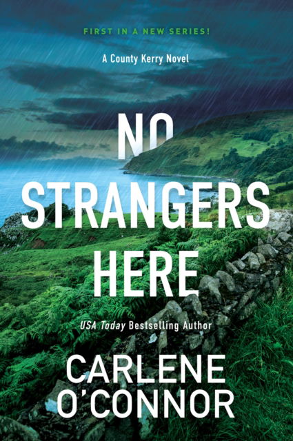 Cover for Carlene O'Connor · No Strangers Here: A Riveting Dark Irish Mystery (Paperback Book) (2023)