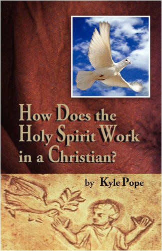 How Does the Holy Spirit Work in a Christian - Kyle Pope - Books - Guardian of Truth Foundation - 9781584272533 - November 21, 2008