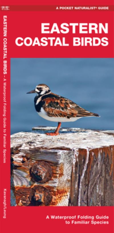 Cover for Waterford Press · Eastern Coastal Birds (Paperback Book) (2022)