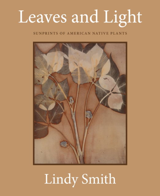 Cover for Leaves and Light: Sunprints of American Native Plants (Hardcover Book) (2025)