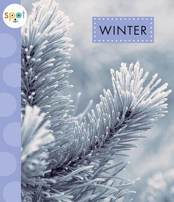 Cover for Mari C Schuh · Winter (Hardcover Book) (2019)