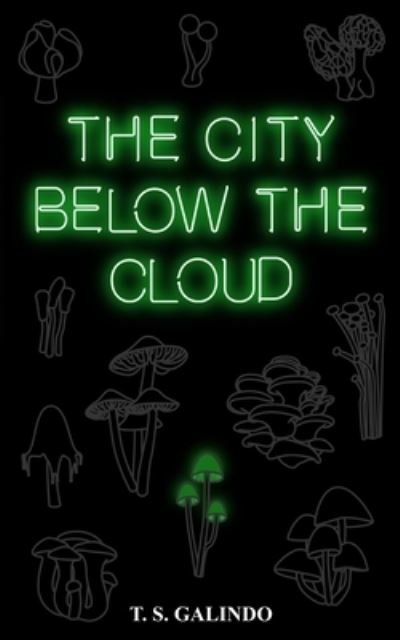 Cover for T S Galindo · The City Below the Cloud (Paperback Book) (2019)