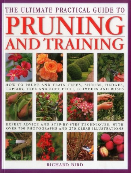 Cover for Richard Bird · Ultimate Practical Guide to Pruning and Training (Paperback Book) (2014)