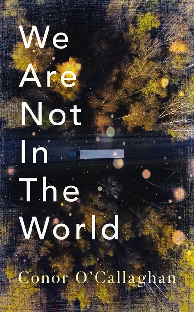We Are Not in the World - Conor O'Callaghan - Böcker - Transworld - 9781781620533 - 18 februari 2021