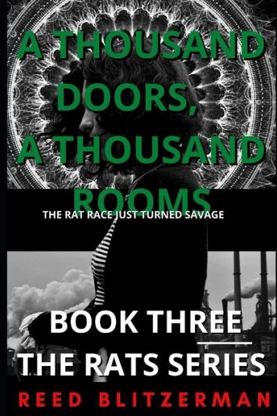 A Thousand Doors, A Thousand Rooms - Reed Blitzerman - Böcker - Independently Published - 9781796372533 - 16 september 2019