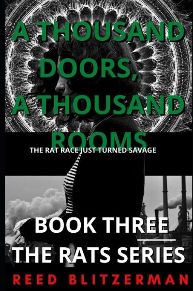 A Thousand Doors, A Thousand Rooms - Reed Blitzerman - Libros - Independently Published - 9781796372533 - 16 de septiembre de 2019