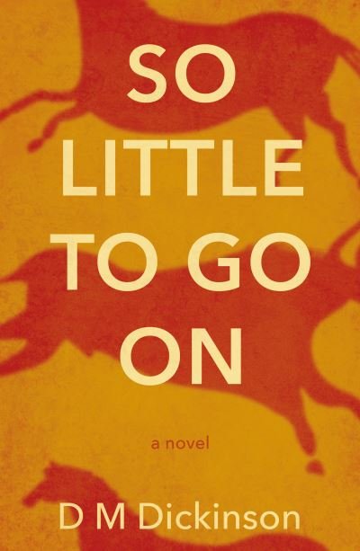 Cover for D M Dickinson · So Little to Go On (Pocketbok) (2021)