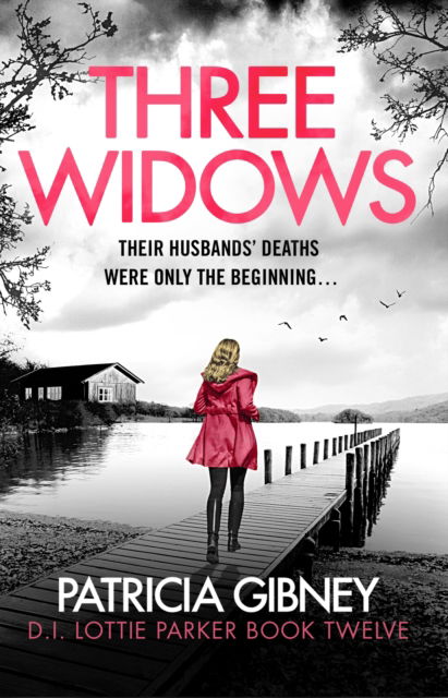 Cover for Patricia Gibney · Three Widows: An unputdownable crime thriller with a jaw-dropping twist (Paperback Book) (2026)