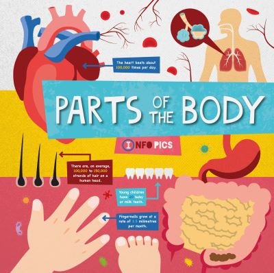 Cover for Harriet Brundle · Parts of the Body - InfoPics (Pocketbok) (2021)
