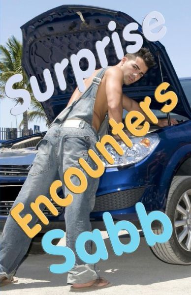 Cover for Sabb · Surprise Encounters: a Gay Erotica Anthology (Paperback Book) (2015)