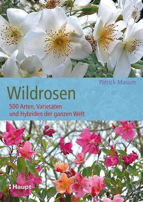 Cover for Masure · Wildrosen (Book)