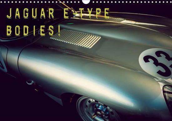 Cover for Hinrichs · Jaguar E-Type - Bodies (Wandka (Book)