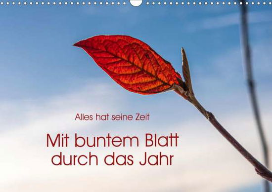 Cover for Seidl · Mit buntem Blatt durch das Jahr ( (Book)