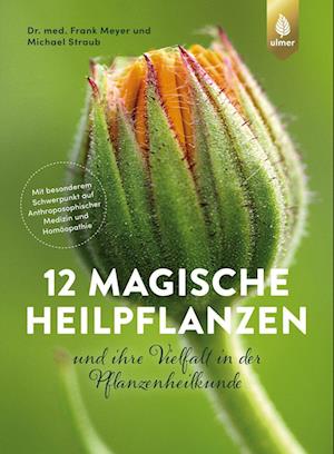 12 magische Heilpflanzen - Frank Meyer - Kirjat - Verlag Eugen Ulmer - 9783818616533 - torstai 20. lokakuuta 2022