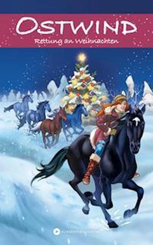 Ostwind Rettung an Weihnachten - Schwarz Rosa - Books - Alias Entertainment - 9783940919533 - October 5, 2022
