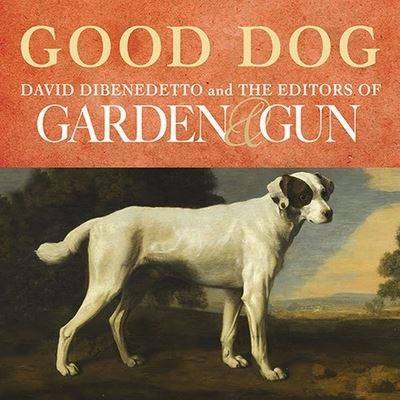 Good Dog - David DiBenedetto - Muzyka - Tantor Audio - 9798200022533 - 10 lutego 2015