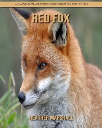 Cover for Heather Marshall · Red Fox: An Amazing Animal Picture Book about Red Fox for Kids (Pocketbok) (2021)