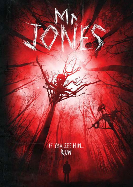 Cover for Mr Jones (DVD) (2014)