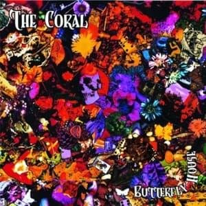 Cover for Coral · Butterfly House (CD) (2013)