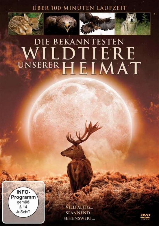 Cover for Doku · Die Bekanntesten Wildtiere Unserer Heima (DVD)